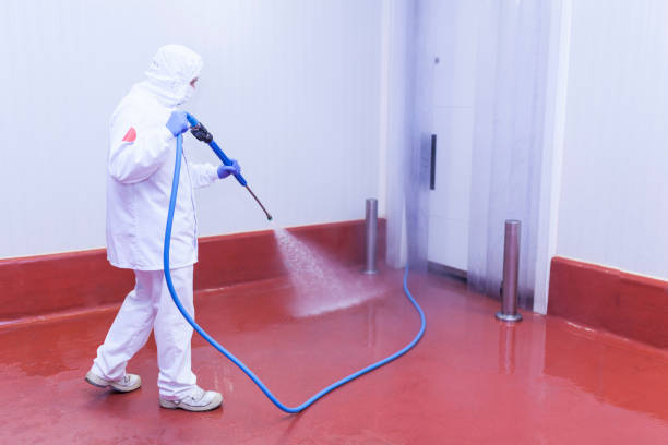 Best Winterizing Services  in Killen, AL